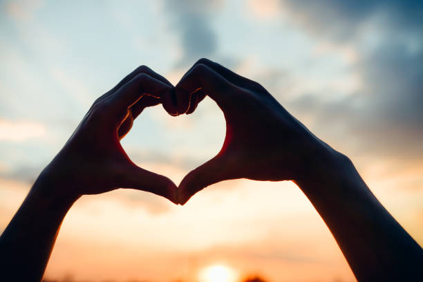 istock Love shape hand or Heart shaped silhouette at sunset background 856534426