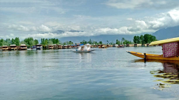 istock WHITE SHIKARA IN DAL LAKE, KASHMIR, INDIA. 856540198