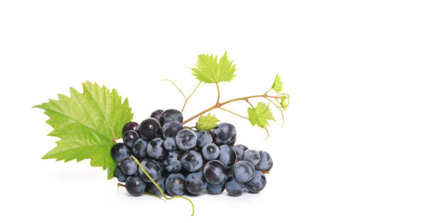 uva scura - red grape grape fruit sweet food foto e immagini stock