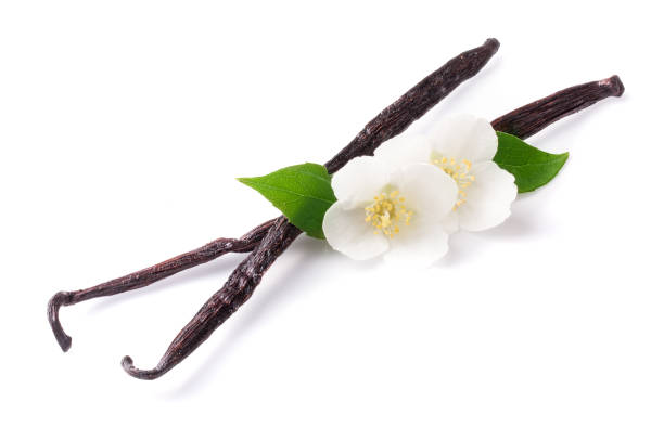 istock Vanilla sticks with flower and leaf isolated on white background 856553716
