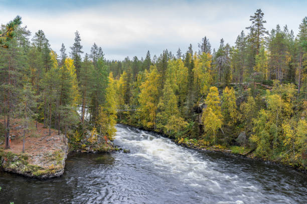 istock Cliff, stone wall, forest, waterfall and wild river view in autumn. Fall colors - ruska time in Myllykoski. One part of Karhunkierros Trail. Oulanka National Park in north Finland. Lapland, Europe 856559670