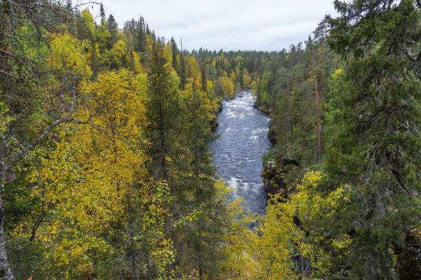istock Cliff, stone wall, forest, waterfall and wild river view in autumn. Fall colors - ruska time in Myllykoski. One part of Karhunkierros Trail. Oulanka National Park in north Finland. Lapland, Europe 856559802