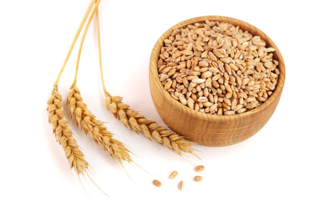 istock wheat spike and wheat grain in a wooden bowl isolated on white background 856560086