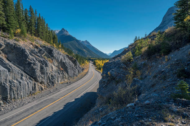 Highway 40 in Kananaskis autumn photo of Highway #40 in Kananaskis, Canada kananaskis country stock pictures, royalty-free photos & images