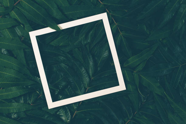 istock Creative layout made of green leaves with white frame. Top view, flat lay. 856582634