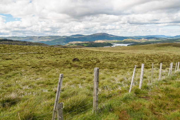 istock lochness lake landscape 856589522