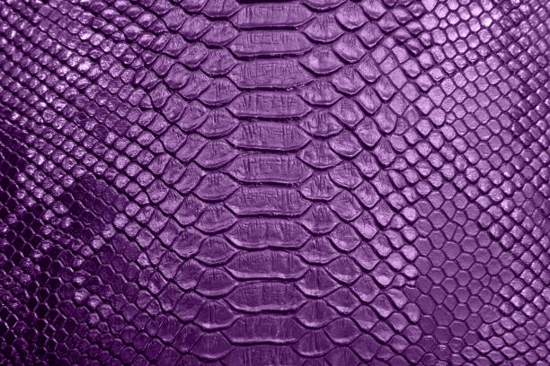 background of purple crocodile skin textured