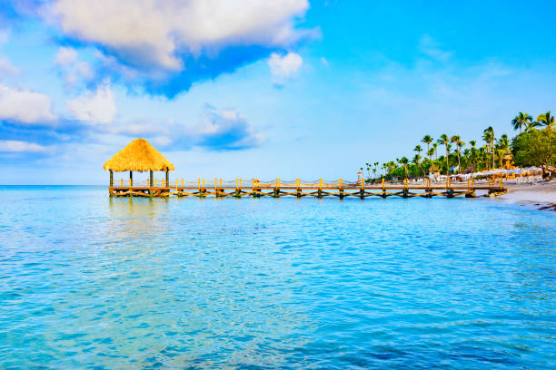 istock arbor with a roof of palm leaves 856592736