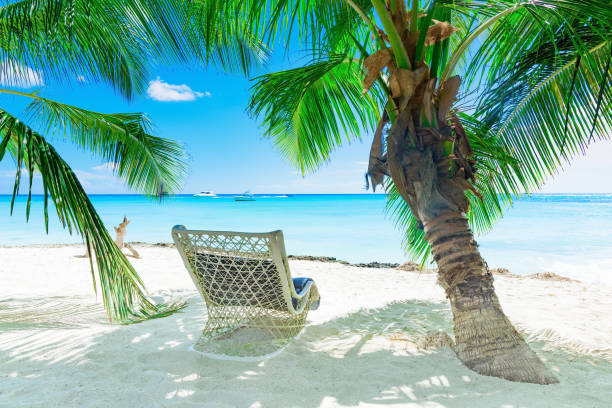 istock Caribbean beach sun lounger 856592946