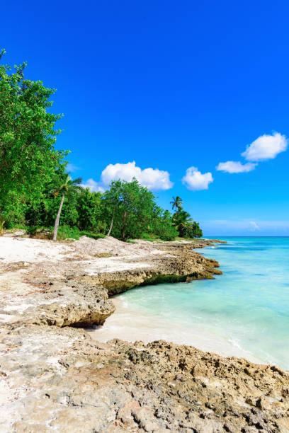 istock caribbean coast waves on the sea 856592968