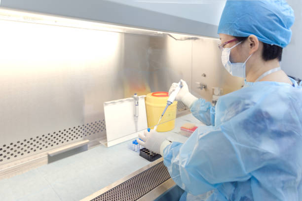 istock The scientist experimented in the laboratory 856596630