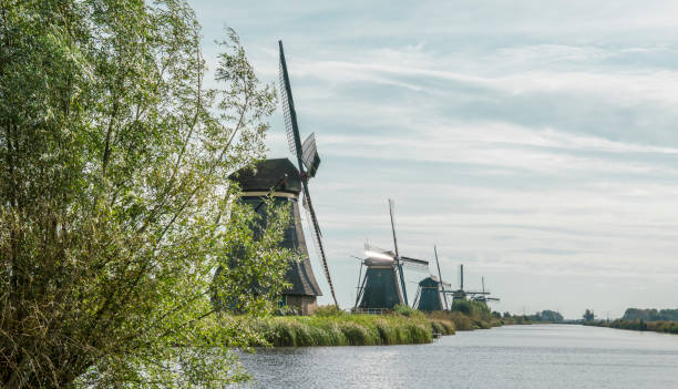 istock Mills in a row along the river Alblas in Kinderdijk, The Netherlands 856600120