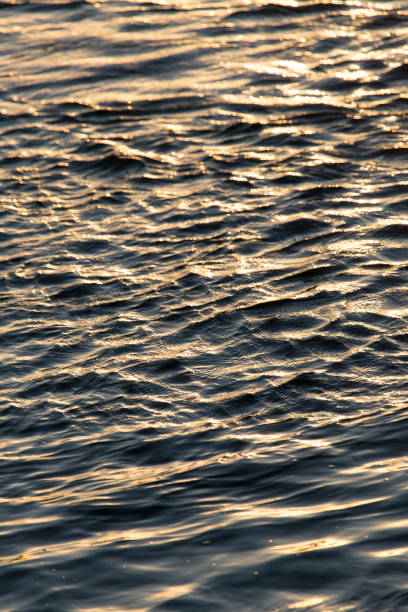 istock Background of the water surface at sunset 856604082