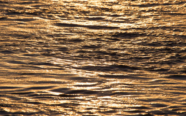 istock Background of the water surface at sunset 856605228