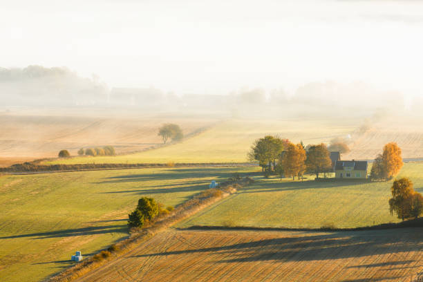 istock Farm on a field with fog in the background 856607342