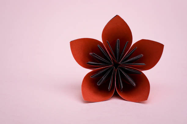 istock Five petals flower origami 856612122