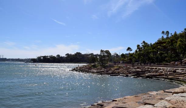 istock Sunny shores of Sydney 856627752