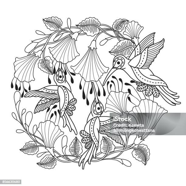 Hand Drawn Hummingbirds And Flower For Adult Coloring Page Stock Illustration - Download Image Now