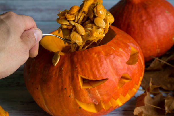 istock Gets a spoonful of pumpkin seeds from Jack's lantern (pumpkins for Halloween) 856631432