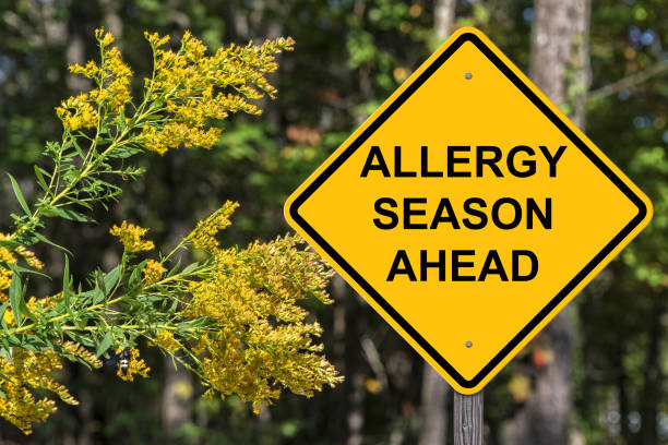 istock Caution Sign Warning About Upcoming Allergy Season 856631526