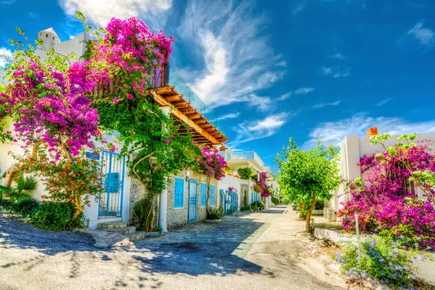 Typical traditional  Aegean Bodrum houses wirh colorful flowers. ( HDR shot )