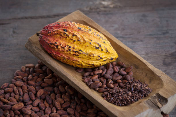 istock Cacao fruit, raw cacao beans, Cocoa pod on wooden background 856638806