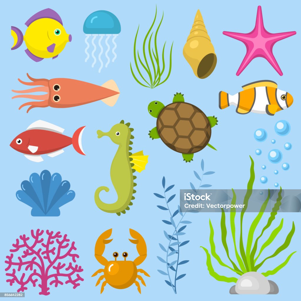Set Aquatic Funny Sea Animals Underwater Creatures Cartoon Characters Shell  Aquarium Sealife Vector Illustration Stock Illustration - Download Image  Now - iStock