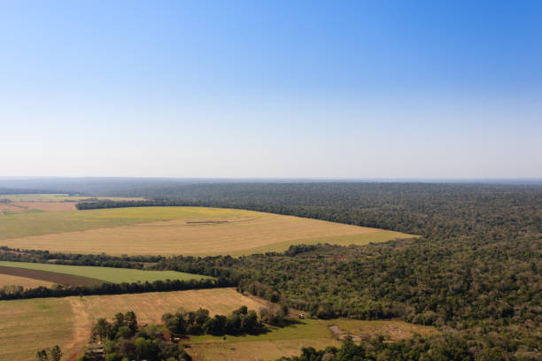 istock Iguazu falls helicopter view, Argentina 856646060
