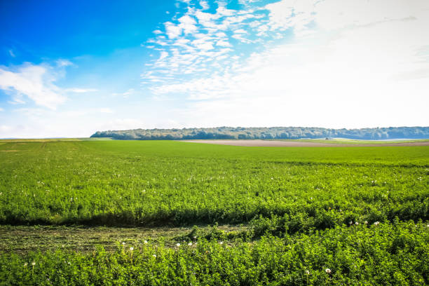 istock hiking in France 856649842