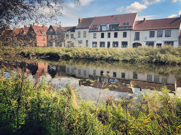 Nature along canals between Bruges and Damme, Belgium cities