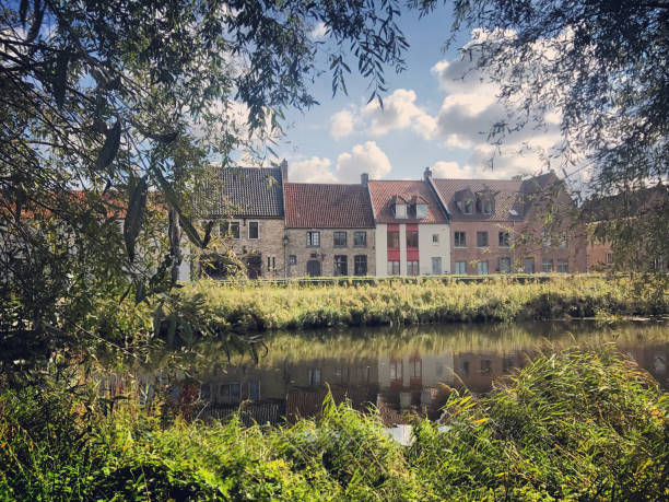 natureza ao longo dos canais entre as cidades de bruges e de damme, bélgica - bruges cityscape europe autumn - fotografias e filmes do acervo