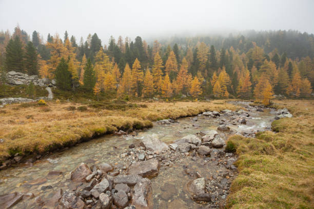 istock walking at fall in a cloudy day next to a mountain stream 856652780