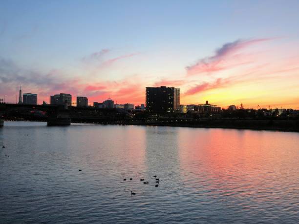 istock Portland Oregon Waterfront 856656234