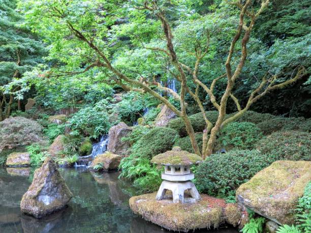 istock Portland Japanese Garden 856656300