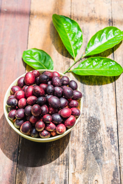 istock Karanda in a bowl on wooden background with Copy space 856660574