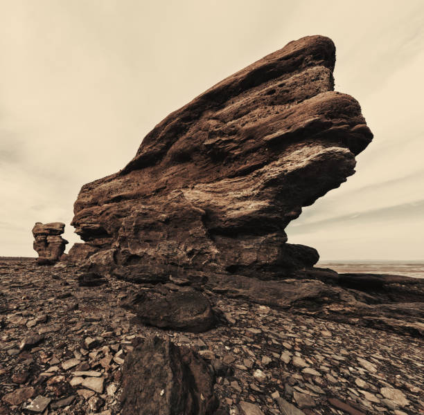 Coastal rock formations shaped by wind and the tides of the Bay of Fundy.