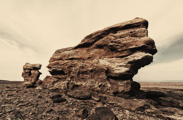 Bay of Fundy Sculpture