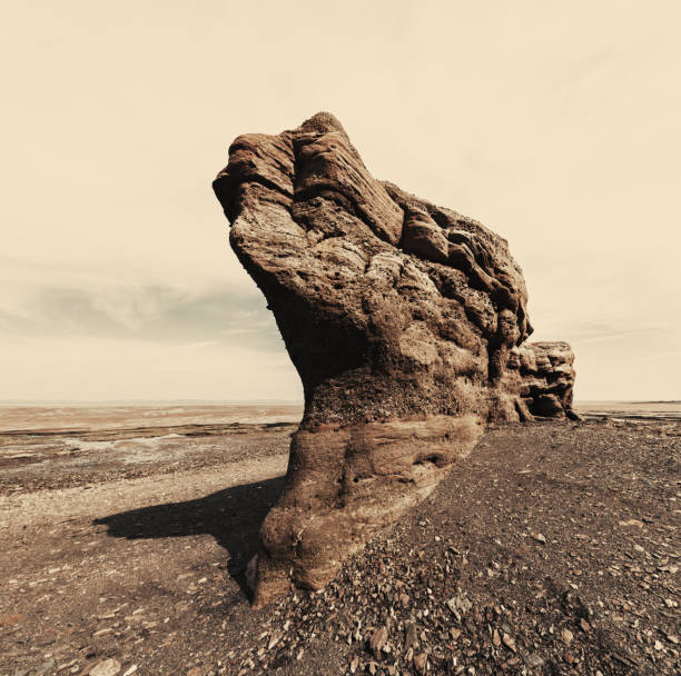 istock Bay of Fundy Sculpture 856660878