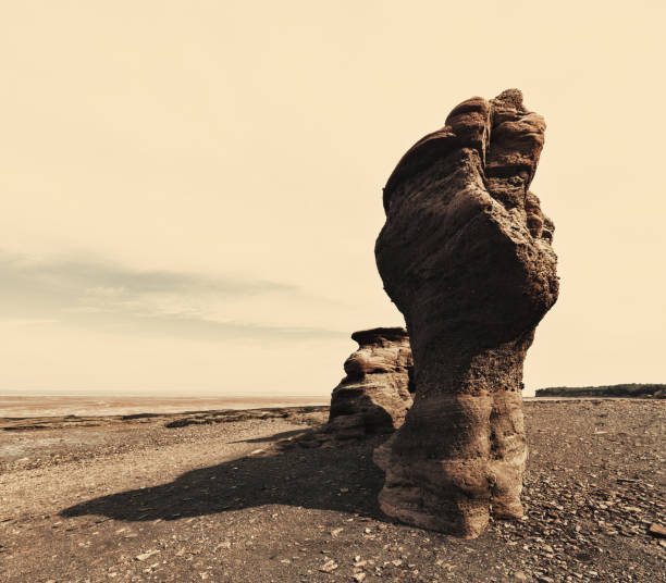 istock Bay of Fundy Sculpture 856660898