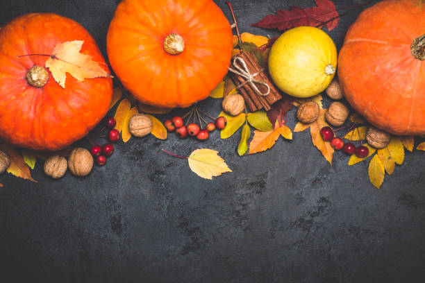 istock Autumn harvest pumpkin thanksgiving composition on a black background 856665676