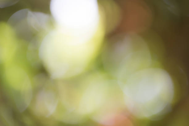 istock abstract bokeh background of nature 856665916