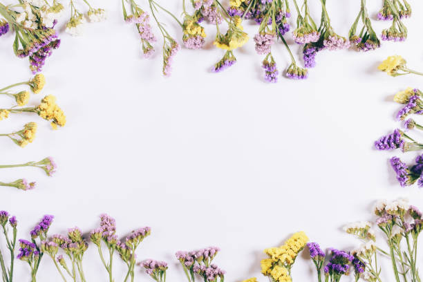 istock Frame of colorful flowers on a white background 856668342