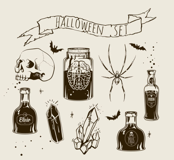 Witchcrafting set of bottles Set of Halloween objects and animals. Hand drawn holiday symbols. Isolated vector illustration.Witchcrafting set of bottles with poison, crystal, skull an jar with brain. Halloween card\poster. Vector illustration engraving style. alchemy illustrations stock illustrations