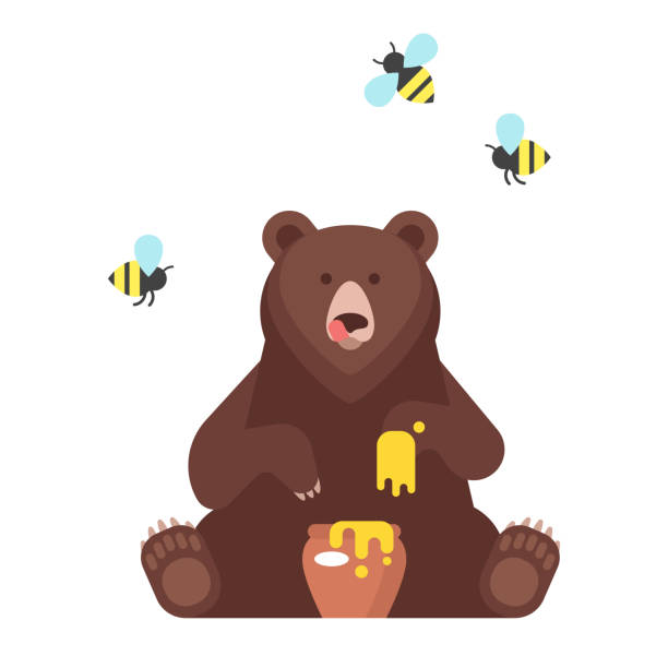bear character eating sweet honey. Vector flat style bear character eating sweet honey. Isolated on white background. bear illustrations stock illustrations