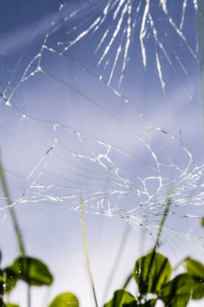 istock many cracks on the mobile phone screen, selective focus, reflection on the glass of green grass, blue sky 856679794