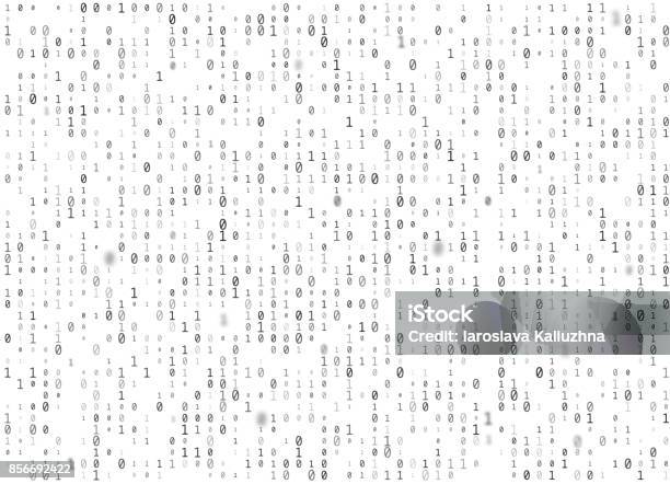 Vector Binary Code White Seamless Background Big Data And Programming Hacking Decryption And Encryption Computer Streaming Black Numbers 10 Coding Or Hacker Concept Texture Or Web Page Fill Stock Illustration - Download Image Now