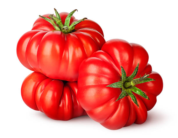 three tomatoes next to each other - heirloom tomato homegrown produce tomato organic imagens e fotografias de stock