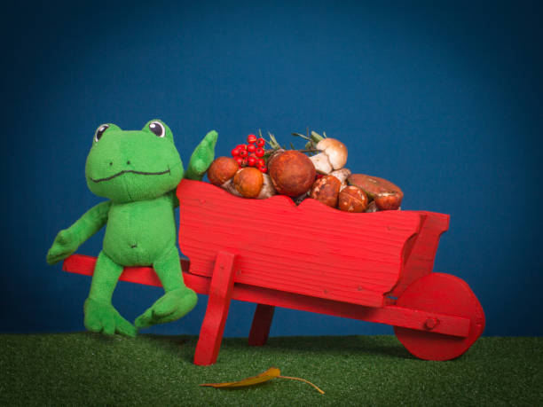 istock Green frog with cargo of mushrooms. 856702946