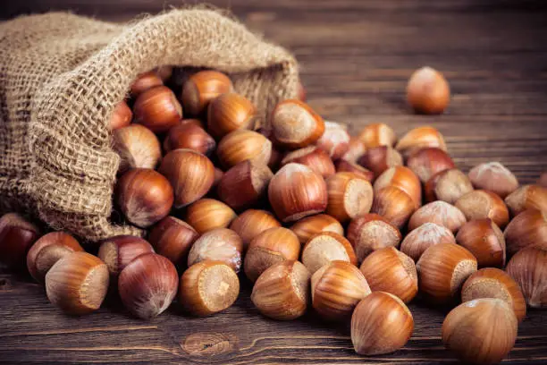 hazelnuts on wooden background