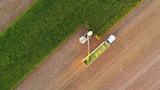 Tractor and farm machines harvesting corn in Autumn, breathtaking aerial view.